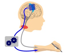 Big Data and Brain Computing