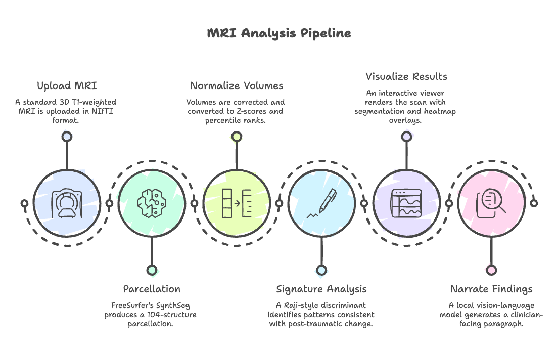 NeuroSentinel MRI analysis pipeline: Upload MRI, Parcellation, Normalize Volumes, Signature Analysis, Visualize Results, Narrate Findings